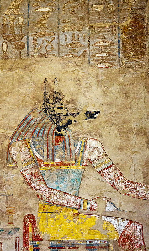 Anubis Portrait