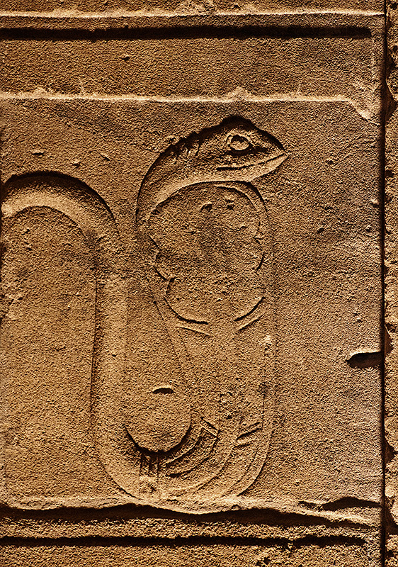 Snake Hieroglyph Detail