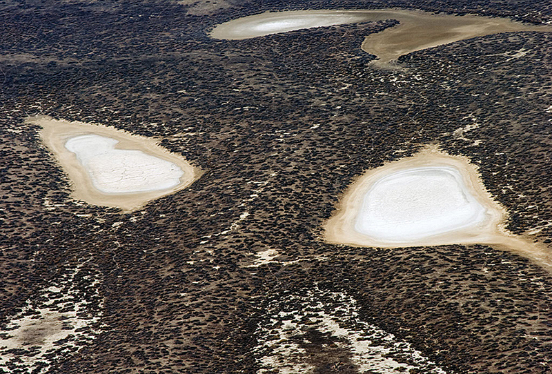Alkali Ponds-Soda Lake
