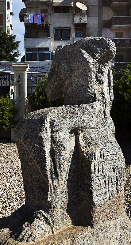 Kom el Dikka :: Granite sculpture with Apartments