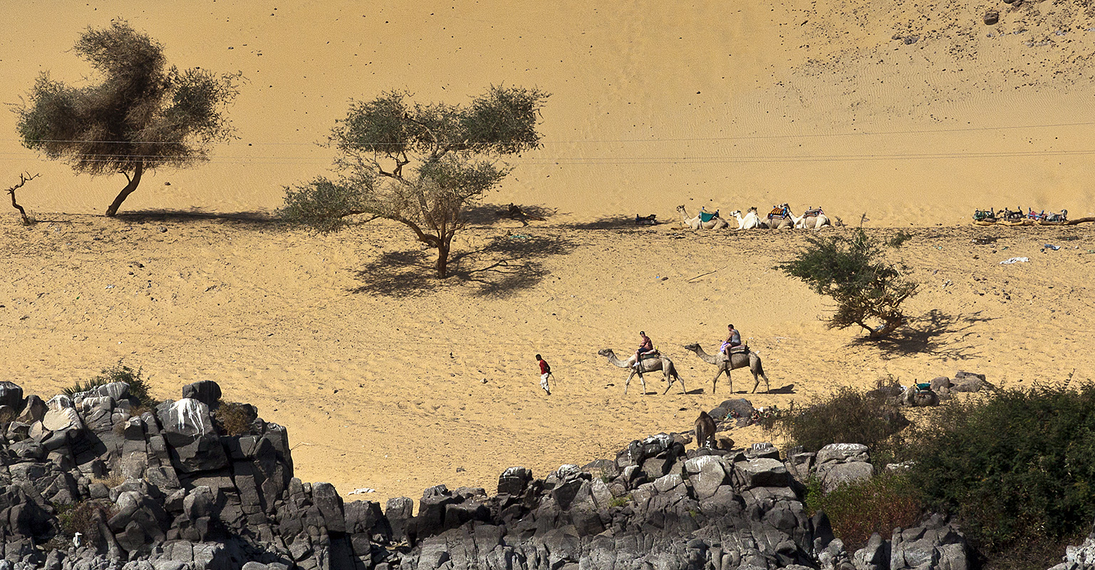 Nubian Villiage :: Camel Caravans