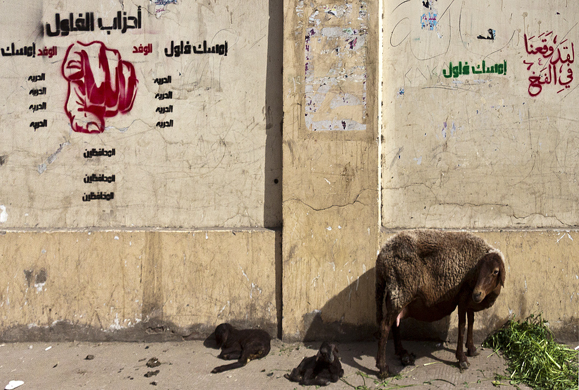 Luxor :: Goats and Grafitti