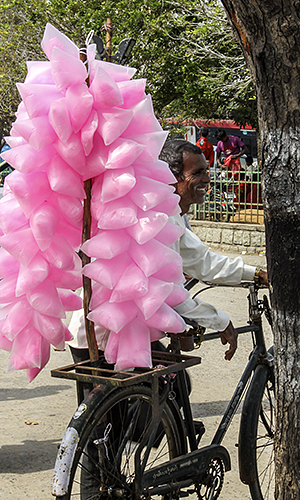 Mamallapuram :: Pink Cotton Candy