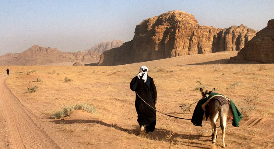 Bedouins moving camels and goats